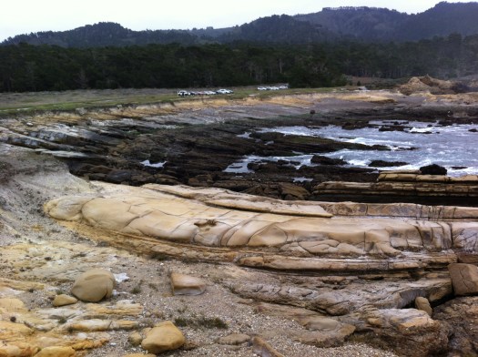 Point Lobos 1