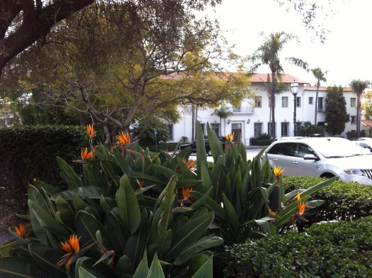 Santa Barbara1